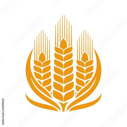 Cereal wheat, rye and barley icon. Agriculture minimalistic symbol or cereal farm emblem, bakery vector sign or pictogram with crop seeds. Wheat grain spike icon