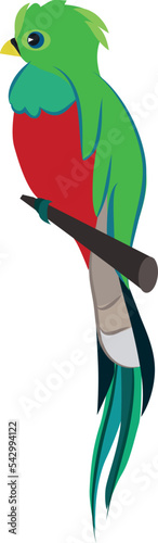 Green parrot icon. Tropical jungle bird animal
