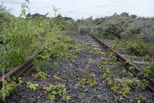 Fotografija Abandoned rail tracks on brownfield land