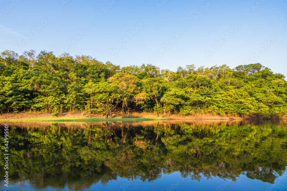 Fototapeta premium View of the beautiful Amazon rainforest and it's reflection at the river - Careiro, Amazonas, Brazil