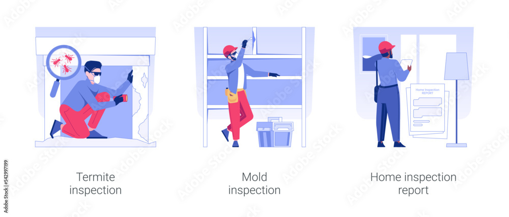 Home inspection service isolated concept vector illustration set. Termite inspection, mold testing, home safety check report, visual examination of property, house pest control vector cartoon.
