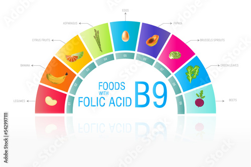 Infographics on Foods containing folic acid