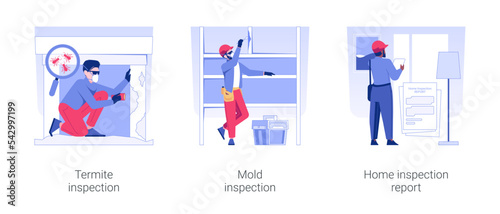 Home inspection service isolated concept vector illustration set. Termite inspection, mold testing, home safety check report, visual examination of property, house pest control vector cartoon.
