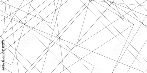 Abstract lines in black and white tone of many squares and rectangle shapes on white background. Metal grid isolated on the white background. nervures de feuilles mortes, fond rectangle and geometric	
