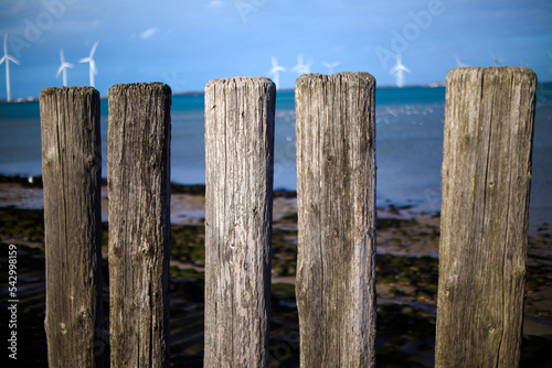 wooden fence on the beach
