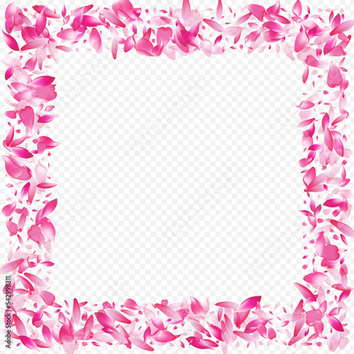 Color Blossom Vector Transparent Background.