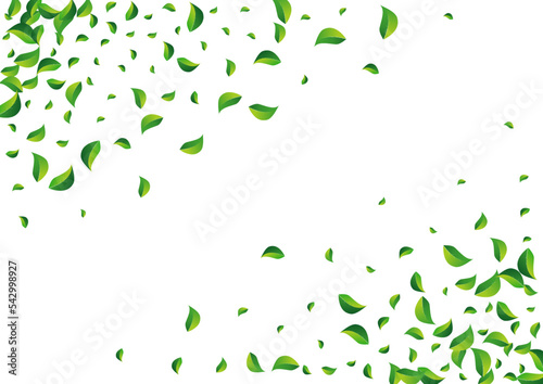 Forest Foliage Abstract Vector White Background.