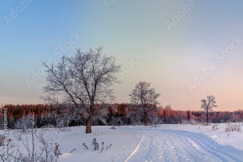 Winter landscape with road, trees covered snow and sunrise. Winter morning of a new day.