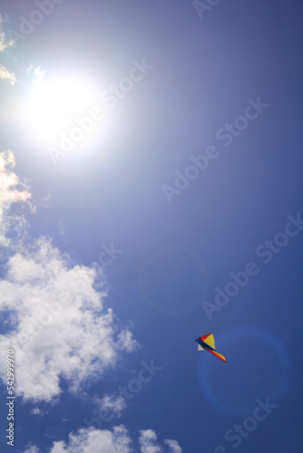 Fototapeta Naklejka Na Ścianę i Meble -  A flying kite in the clear blue sky with clouds
