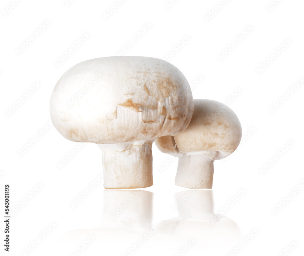 Two champignons (Agaricus) close-up isolated on a white background Two champignons (Agaricus) close-up isolated on a white background
