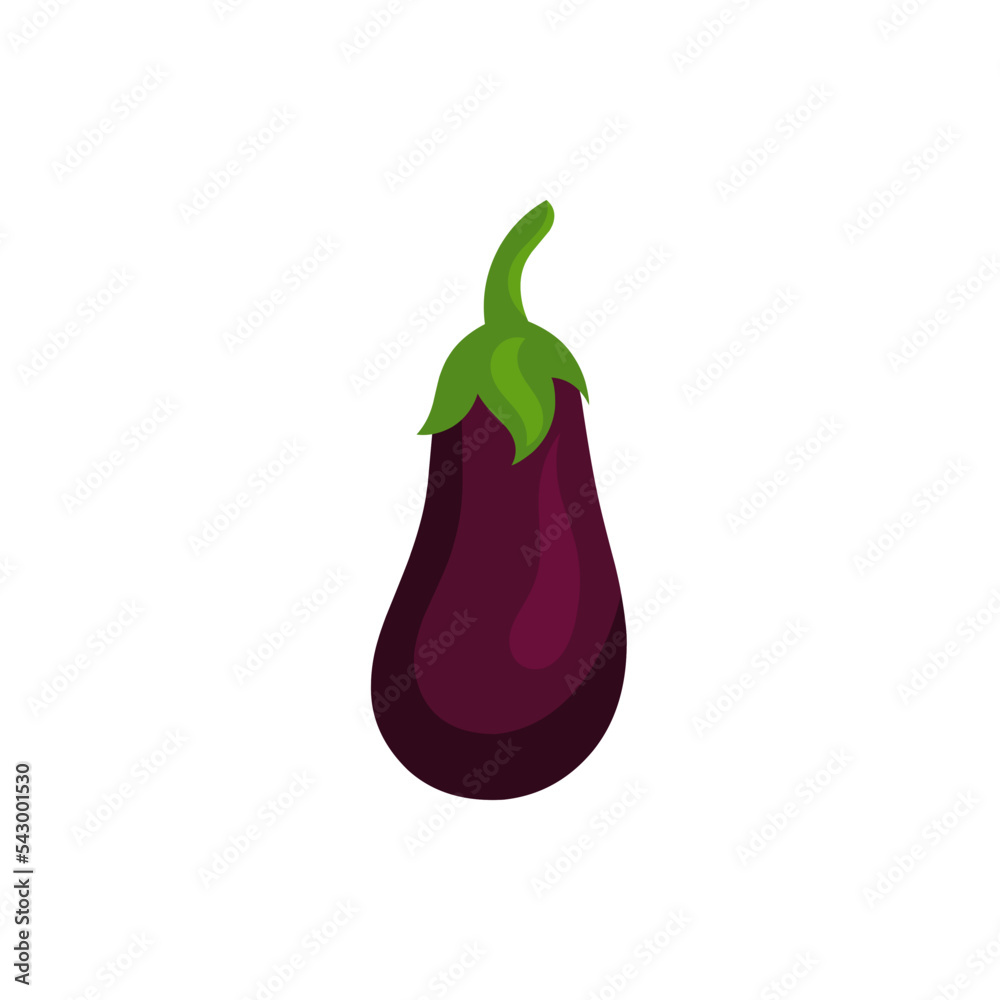 Vector vegetable eggplant simple illustration Vector vegetable eggplant simple illustration