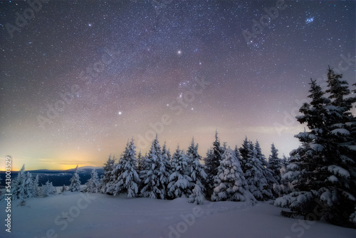 the milky way and a myriad of stars above a snow-covered trees on the mountain plateau