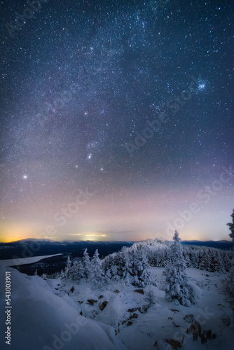 the milky way and a myriad of stars above a snow-covered trees on the mountain plateau