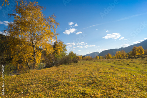 Autumn in Altay mountains