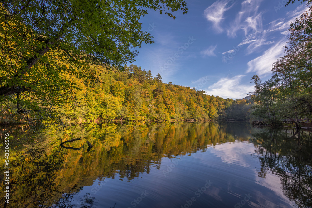 Fototapeta premium gorgeous lake and reflections in autumn
