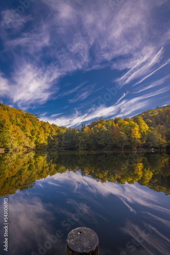 gorgeous lake and reflections in autumn