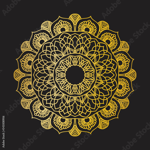 Circular pattern in the form of a mandala. Henna tatoo mandala. Mehndi style. Decorative pattern in oriental style. Coloring book page.