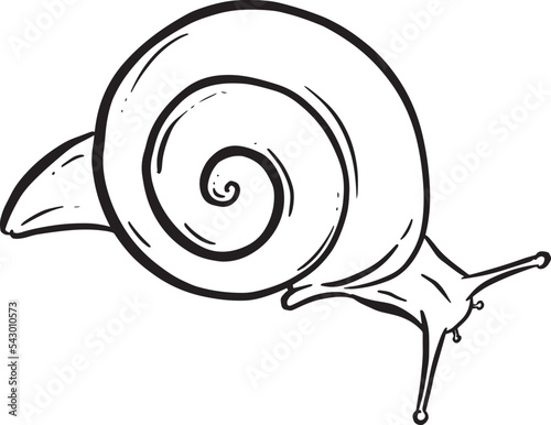Line Art Outline of a Garden Snail with Shell for Logo or Mascot Design in Vector Illustration