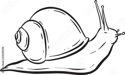 Line Art Outline of a Garden Snail with Shell for Logo or Mascot Design in Vector Illustration