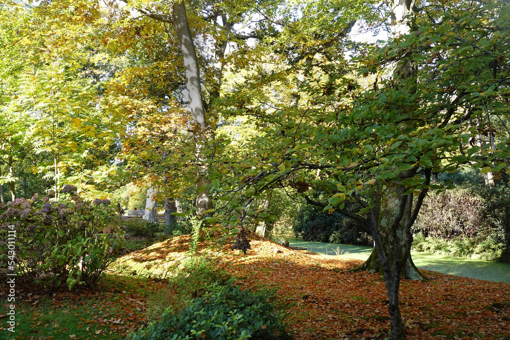 Autumn in the public parks in the Netherlands Autumn in the public parks in the Netherlands