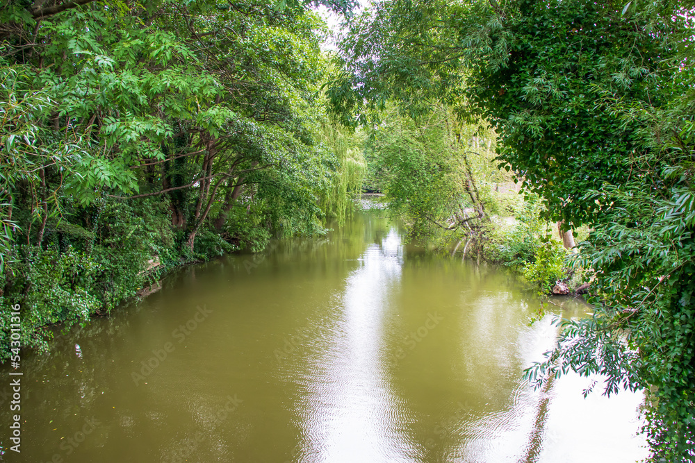 Small quiet lake surrounded by green trees. High quality photo Small quiet lake surrounded by green trees. High quality photo