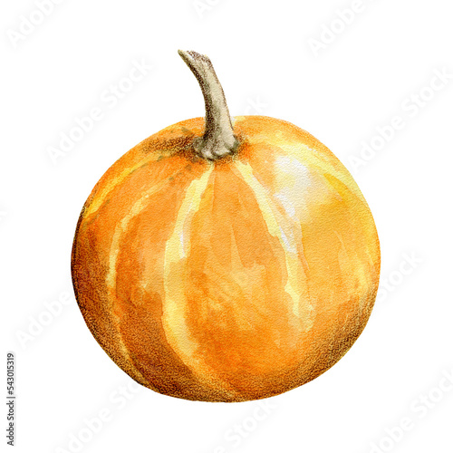 Small round Yellow-orange pumpkin, watercolor illustration, isolated on a white background