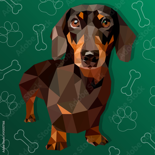 Vector illustration of brown low poly polygonal dog dachshund surrounded by white line paws and bones isolated on dark green. Veterinary, shops, kids, print concept.