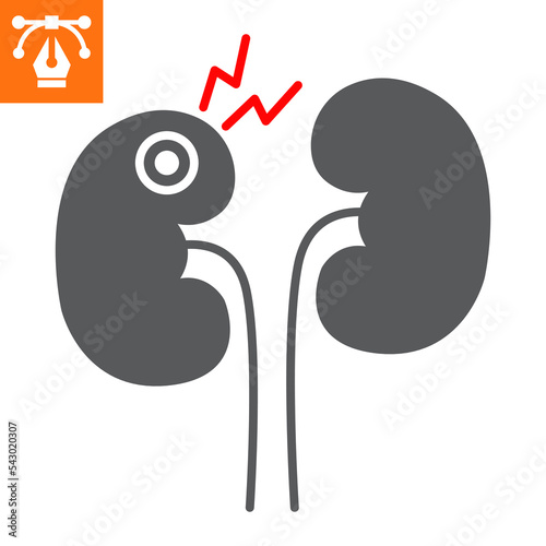 Kidney disease solid icon, glyph style icon for web site or mobile app, pyelonephritis and glomerulonephritis, kidney failure vector icon, simple vector illustration, vector graphics.