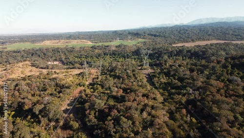 dron shot above forest and power lines in Argentina