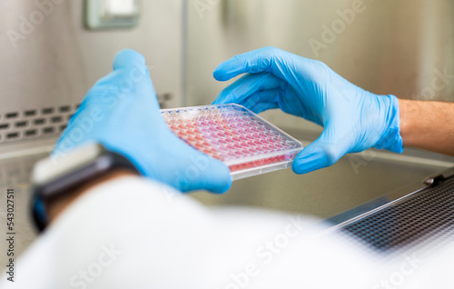 cell culture, medicine and biology laboratory