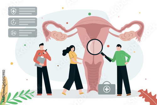 Doctors examine woman uterus. Physicians conduct checking of female genital organs for disease and condition. Sex education and reproductive system