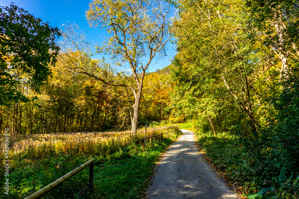 Fototapeta premium Kleine Herbstwanderung durch die Landschaft von Jena - Thüringen - Deutschland