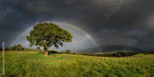 Arc en ciel photo