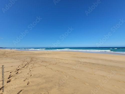 Принти на полотні beach
