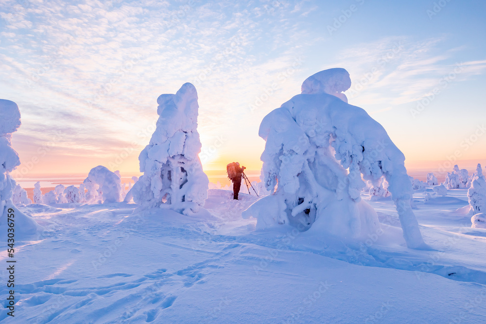 landscape with snow