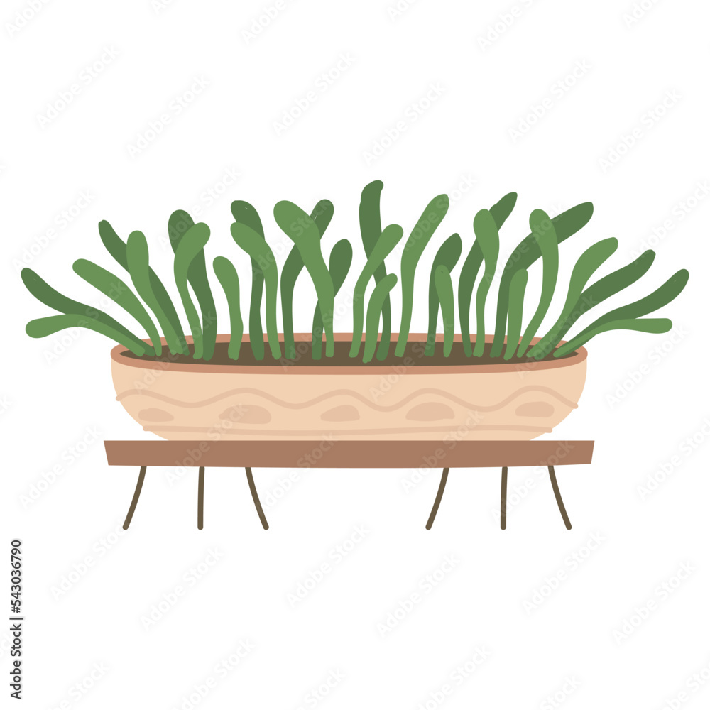 Plant in hanging pot. Houseplant hang on rope, decorative indoor plant, macrame flower pot, home potted plant vector illustration icon. Flower in pot on stand. Home jungle Plant in hanging pot. Houseplant hang on rope, decorative indoor plant, macrame flower pot, home potted plant vector illustration icon. Flower in pot on stand. Home jungle
