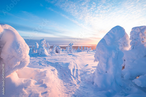 winter landscape photo