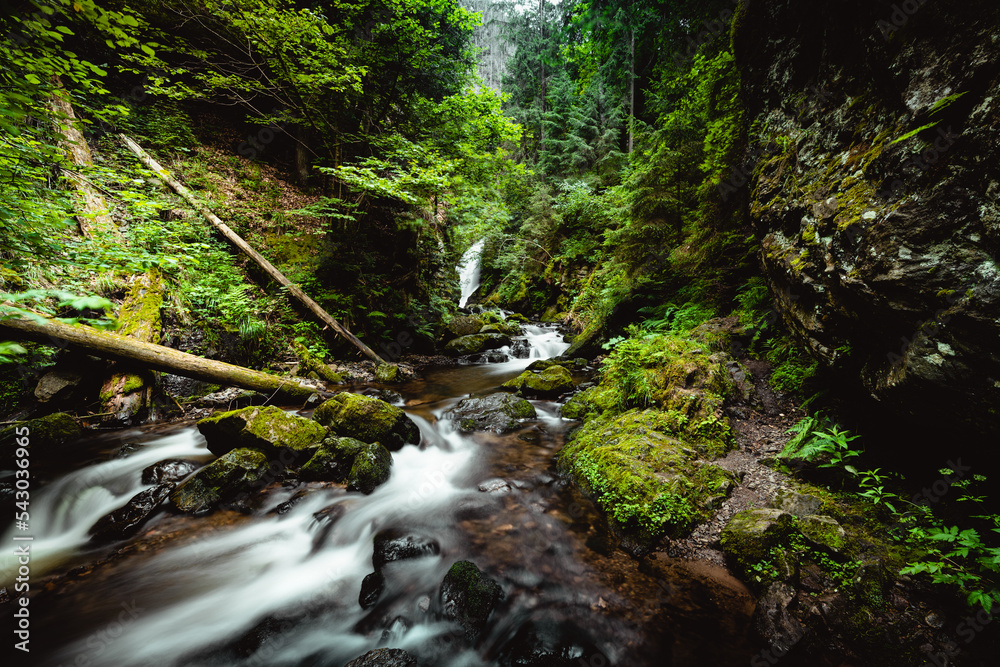 Obraz premium Langzeitbelichtung eines Bachs