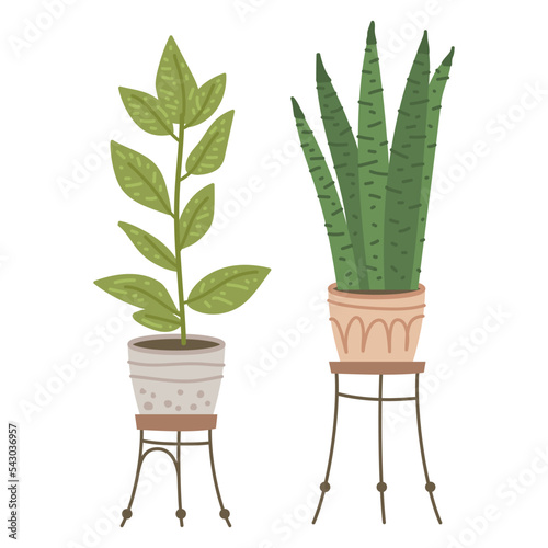 Plant in hanging pot. Houseplant hang on rope, decorative indoor plant, macrame flower pot, home potted plant vector illustration icon. Flower in pot on stand. Home jungle