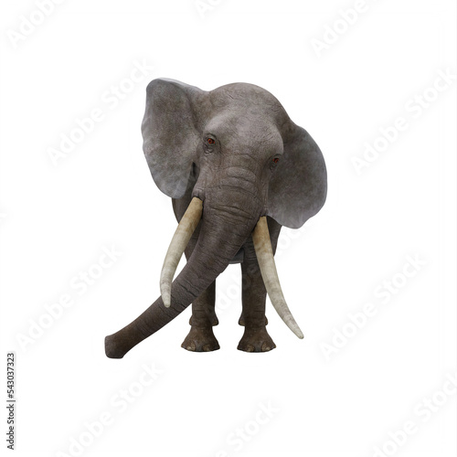 Sticker elephant isolated on white