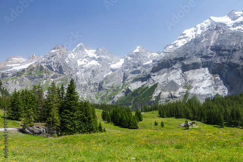 Panoramic view of green alpine meadows and mountains