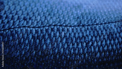 fish skin detail as background