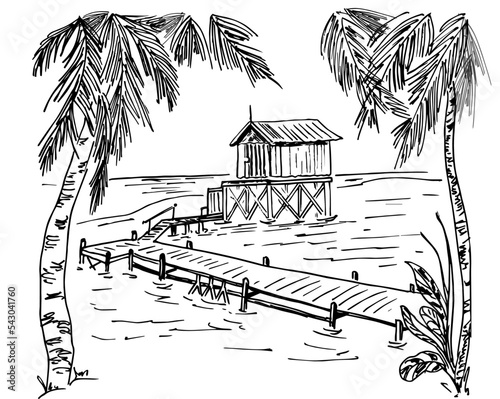  Sketch  of tropical landscape with palms.Vector illustration