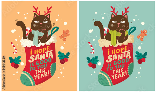 christmas day, cat lover