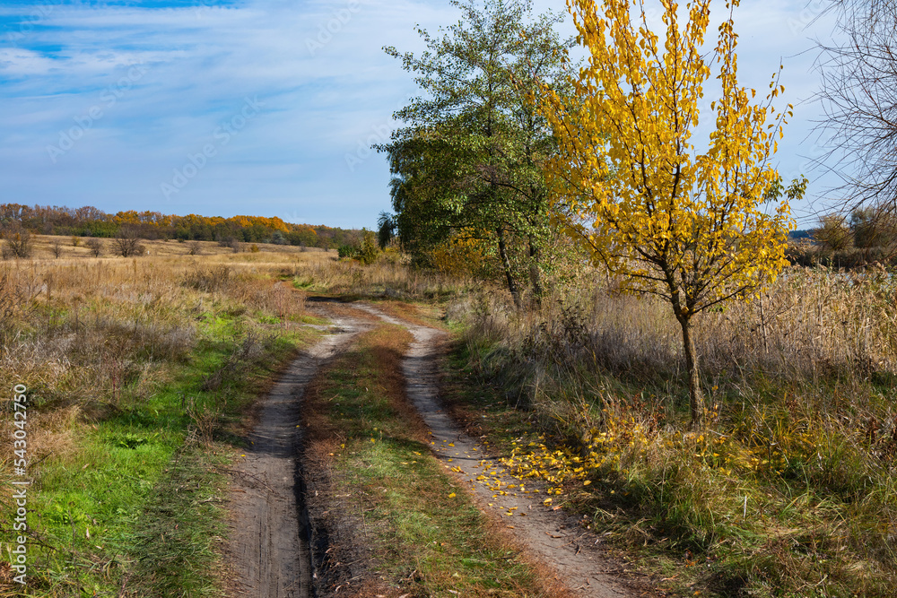 Сountry road in Ukraine on a sunny day. Autumn landscape