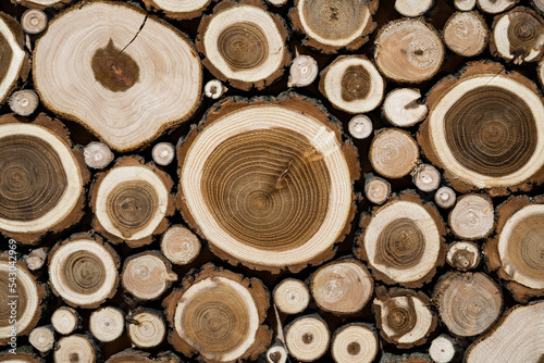 Background of cross section of round cut logs of various sizes. Wall of cut brown logs with bark  cracks and texture of tree rings. Cut tree trunk. Firewood  stumps  lumber. Wooden background pattern.