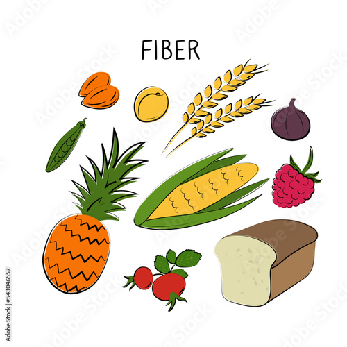 Fiber-containing food. Groups of healthy products containing vitamins and minerals. Set of fruits, vegetables, meats, fish and dairy