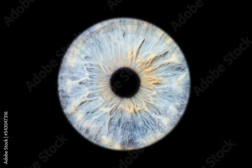 Human eye pupil close up isolated on black background