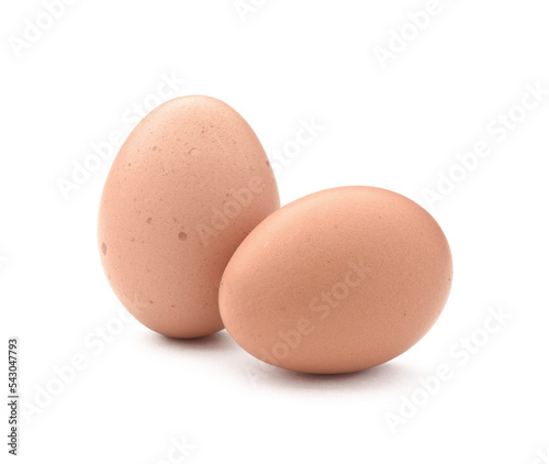 eggs isolated