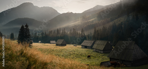 Fototapeta Naklejka Na Ścianę i Meble -  morning in the mountains
